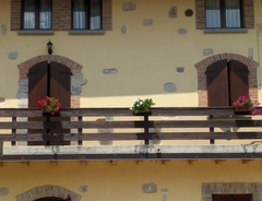 Antoni in legno multistrato marino